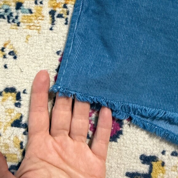 Carve Design Dogtown Corduroy Shorts Womens Size 2 Outdoors Gorpcore Beach Retro - Picture 4 of 9